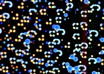 MD-VAE Embeds Concepts in Variational Autoencoders Using Multiple Decoders