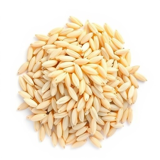 Meta-analysis finds combined fortification boosts zinc, iron, and protein in rice grain