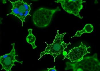 MHS552 Antibody Selectively Expands Regulatory T Cells in Models and Healthy Participants