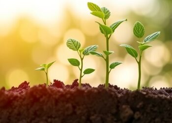 Microbes’ Superoxide Production Drives Biological Nitrogen Dioxide Formation in Soils