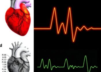 MicroRNA-182 targets IL-6 and HCN4, driving human atrial electrical remodelling