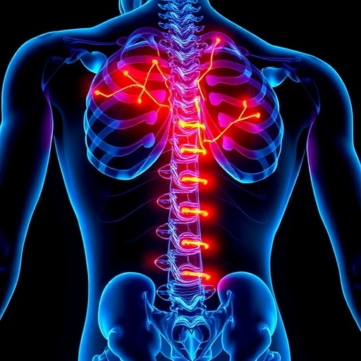 Mitochondria-Targeted Therapy Shows Promise Against Intervertebral Disc Degeneration