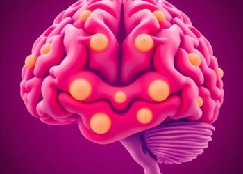 ML Identifies Brain Regions Linked to Impulsivity in Young Adults With Obesity