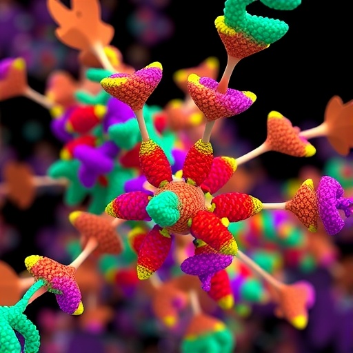 Mol2Image turns drug molecular descriptors into images to predict interactions