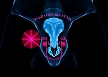 Molecular profiling identifies favorable risk pattern in rare, aggressive uterine cancer