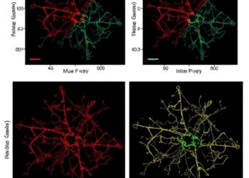 Mouse inhibitory neuron transcriptomes reveal distinct cell-type diversification modes