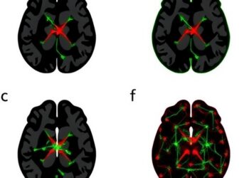 Mouse insular cortex pyramidal cell types reveal specialized circuit functions