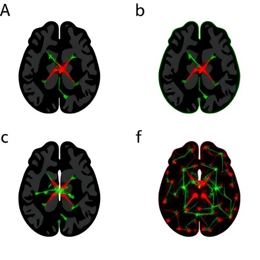 Mouse insular cortex pyramidal cell types reveal specialized circuit functions