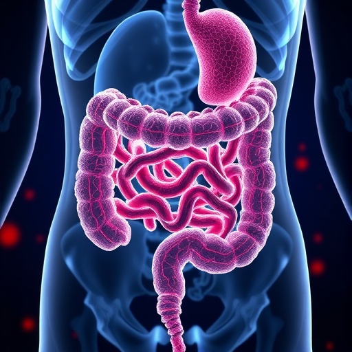 MSK scientists uncover gut-healing molecular switch hijacked by colorectal cancer to spread