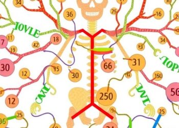 Multi-omics study identifies new drivers of organ damage in Fabry disease