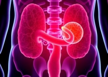 Multicenter prospective observational study to evaluate the clinical utility of rs61094339 SNP Kit in predicting response to intravesical Bacillus Calmette-Guérin therapy for highest-risk non-muscle-invasive bladder cancer: the PRECISE-BCG study
