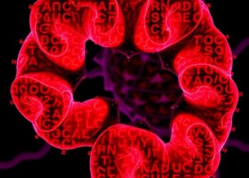 N-glycosylation stabilizes CD155, helping colorectal tumors evade NK-cell surveillance