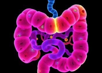 New atlas reveals mesenchymal diversity in human gut and organoids