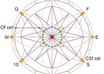 New Emmy Noether Group Builds Theoretical Foundations for Geometric Quantum Matter