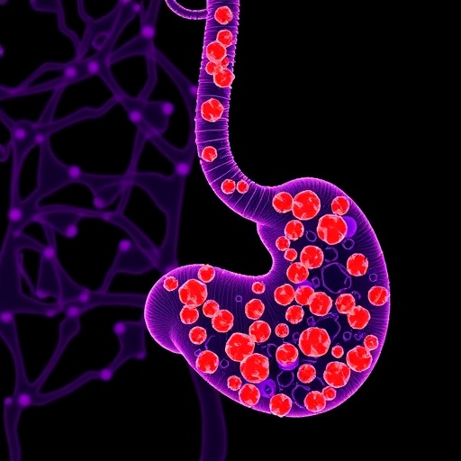 New Gastric Cancer Insights Reveal Causes, Tumor Ecosystems, Spread, and Prognostic Factors