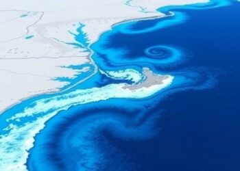 New Learning Method Improves Robust Ship Detection Across Coastal SAR Conditions