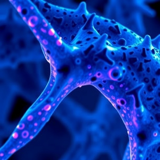 New method unlocks insights from preserved tissues