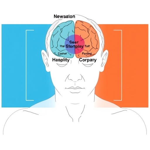 New Model Explains How Stress Develops in Internalizing Disorders