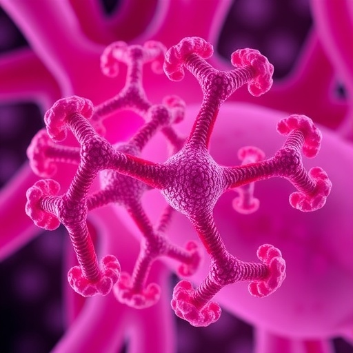 New research reveals MYH9’s expanding role in cancer and genetic disorders