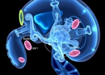 New Review Examines Noninvasive 3D Reconstruction Methods for Transparent Objects