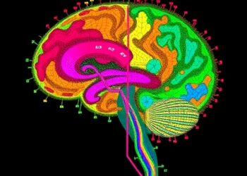 New spatial transcriptomics method maps RNA isoforms across primate brain cells