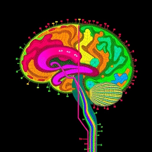 New spatial transcriptomics method maps RNA isoforms across primate brain cells