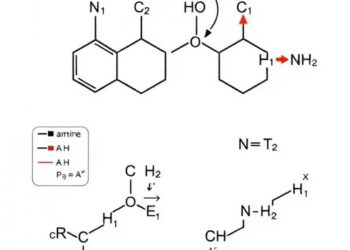 New strategy enables asymmetric α-arylation and alkenylation of amines and ethers