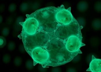 Normal DNA Re-Replication Observed as Human Stem Cells Differentiate