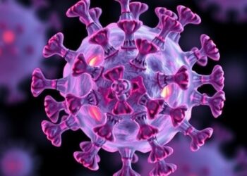 Novel method enables genetic risk studies in rare immune cells