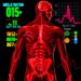 Novel pyruvate tracer reveals dichloroacetate’s distinct effects on muscle metabolism