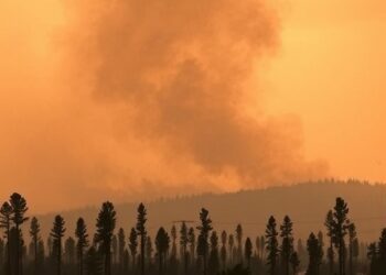 Ontario wildfire smoke exposed Americans to unhealthy air for 106 million person-days