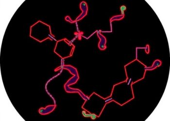 Orai1 Calcium Entry Regulates Lipolysis and Mitochondrial Activation During Brown Fat Thermogenesis
