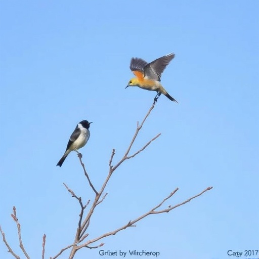 Over a decade of Seattle suburban observations reveals where sensitive birds avoid