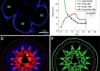 p53 expression patterns link KAISO and field cancerization in oral cancer
