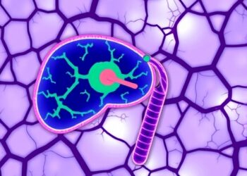 Palmitate Drives Liver Metastasis by Suppressing Neutrophils’ Antitumour Activity