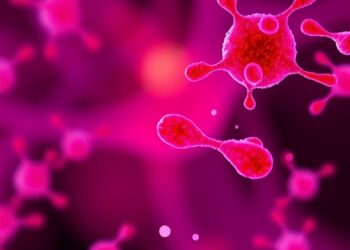 Panobinostat Protects Splenic B Cells from Radiation Damage, Altering IL-17 Signaling