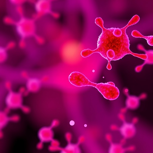 Panobinostat Protects Splenic B Cells from Radiation Damage, Altering IL-17 Signaling