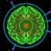 Patient-specific blood–brain tumor barrier chip predicts glioblastoma treatment responses