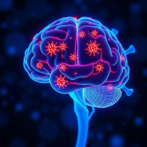 PD-1 Balances Brain Viral Control and Neuroinflammation by Regulating T Cell Responses