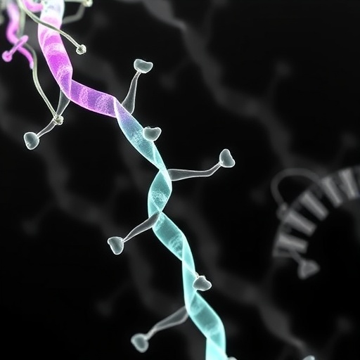 Pentachlorophenol Promotes Bladder Cancer Cell Invasion by Disrupting Protein Stability