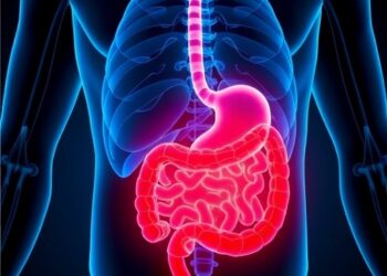 Piezo Ion Channels Identified as Therapeutic Targets in Digestive Diseases