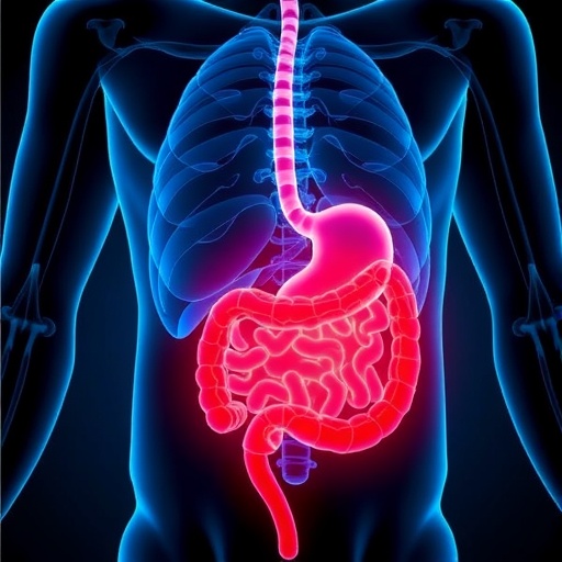 Piezo Ion Channels Identified as Therapeutic Targets in Digestive Diseases