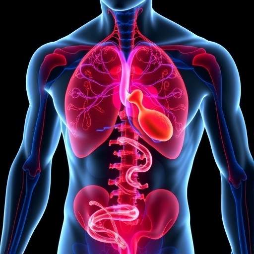 Prostate Cancer Drugs Targeting Androgen Receptors May Trigger Metabolic Dysfunction