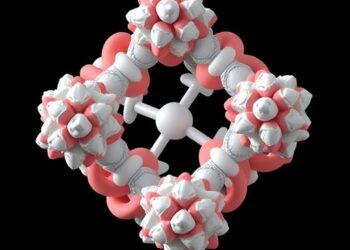 Protein-Foldamer Building Blocks Enable Self-Assembling Hybrid Architectures