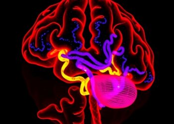 Protein Thiol Changes Promote Harmful Liquid–Liquid Phase Separation in Aging Brains