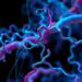 Proteomics Identifies Carboxypeptidase E as Potential Biomarker for Synucleinopathies