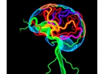 Proteomics Links Environmental and Genetic Parkinson’s Models to Purine Metabolism