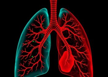 Publisher Correction: Chronic smoke exposure reveals redox-mitochondrial adaptation in human lung models