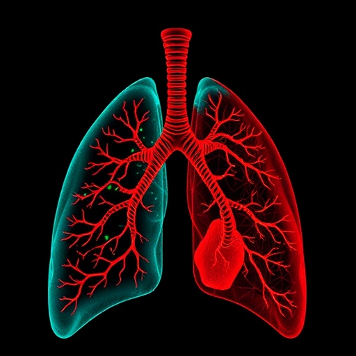 Publisher Correction: Chronic smoke exposure reveals redox-mitochondrial adaptation in human lung models