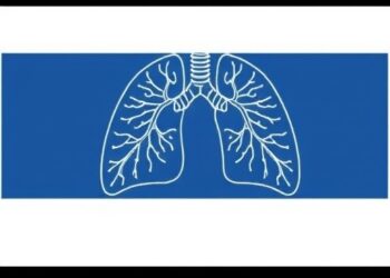 Pulmonary Hypertension and Acute Hypoxic Respiratory Failure in Premature Infants